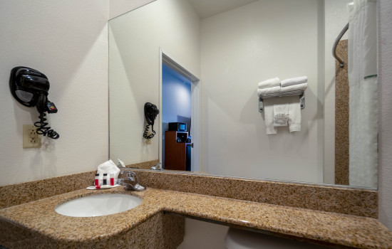 Microtel Inn & Suites by Wyndham Tracy Gallery - Bathroom
